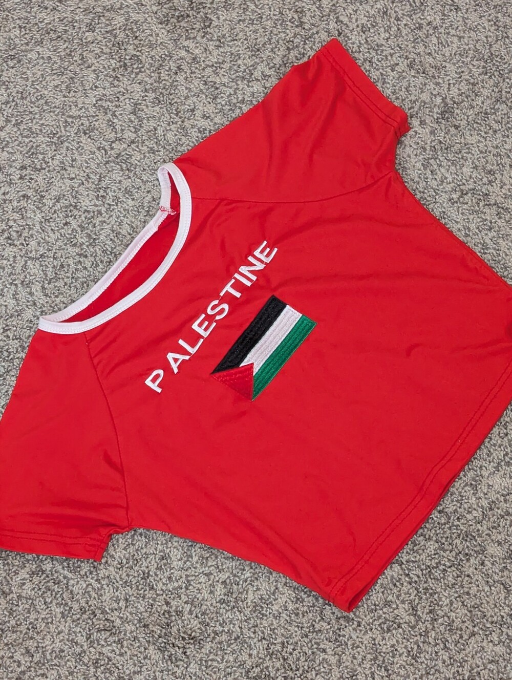 Red 'PALESTINE' Graphic Tee with Flag Embroidery